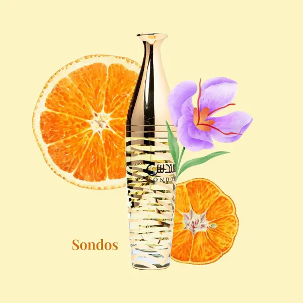 AnyConv.com__Sondos.webp