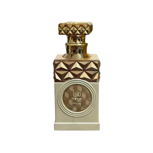 AnyConv.com__minya coco lush1.webp