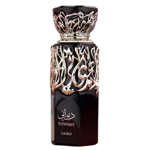 AnyConv.com__Diwani Cairo French Avenue1.webp