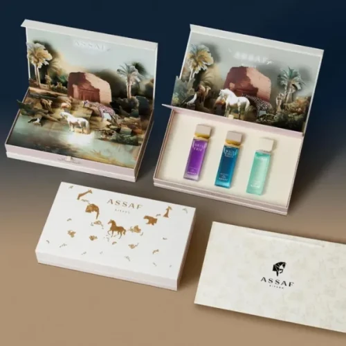 Assaf Foundation Day Package  (Gris Erik + Noble + Wild Colt Tobacco) woda perfumowana unisex  3x100ml_6287042403448.webp