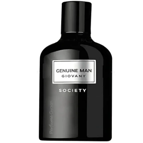 society (1).webp